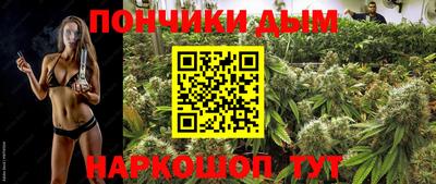 гидра Кимры