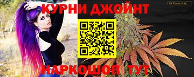 гидра Кимры