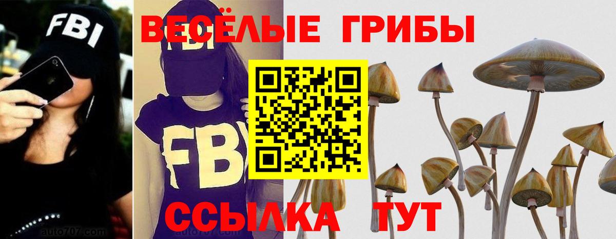 купить   Псилоцибиновые грибы Cubensis  Вход с VPN  Лесозаводск 
