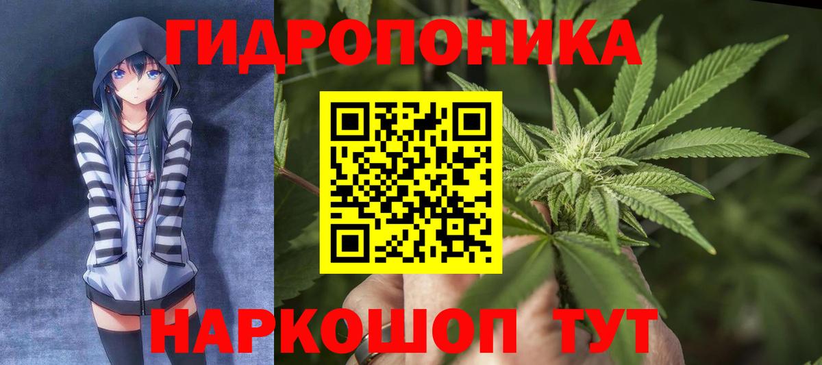 Лесозаводск  Шишки марихуана Bruce Banner  Марихуана White Widow  Вход с VPN  Каннабис Bruce Banner 
